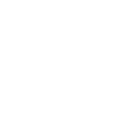 robotic